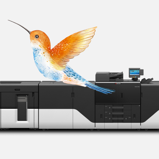 Production print